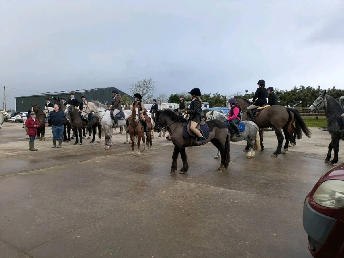 Hunting Pony - Image 3