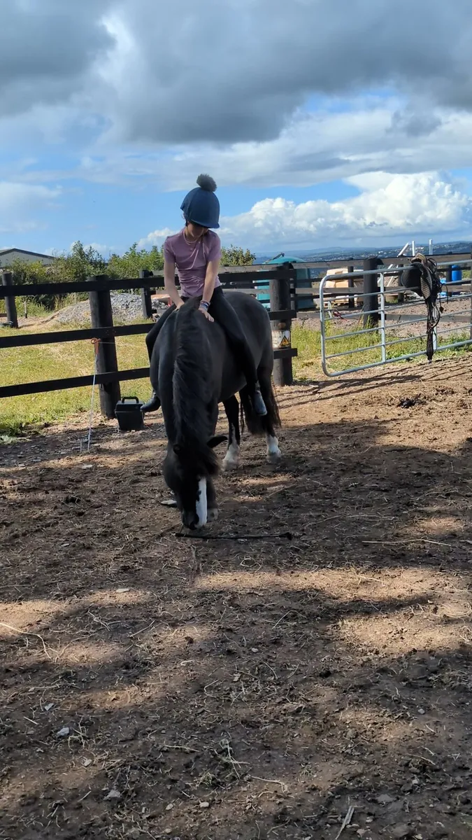 Hunting Pony - Image 4