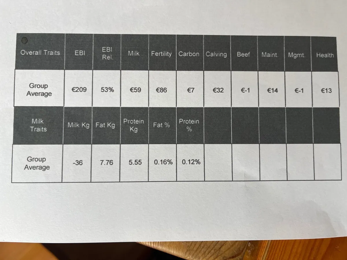 Pedigree Registered High EBI Calves - Image 1