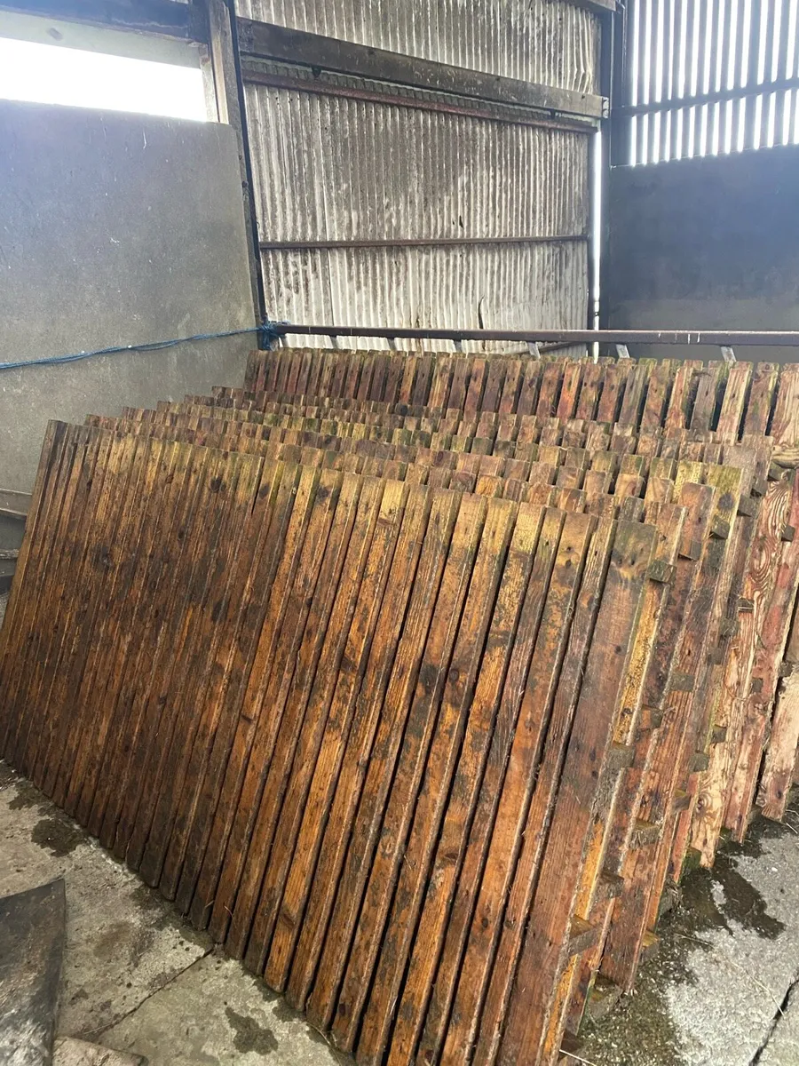 Sheep slats - Image 1