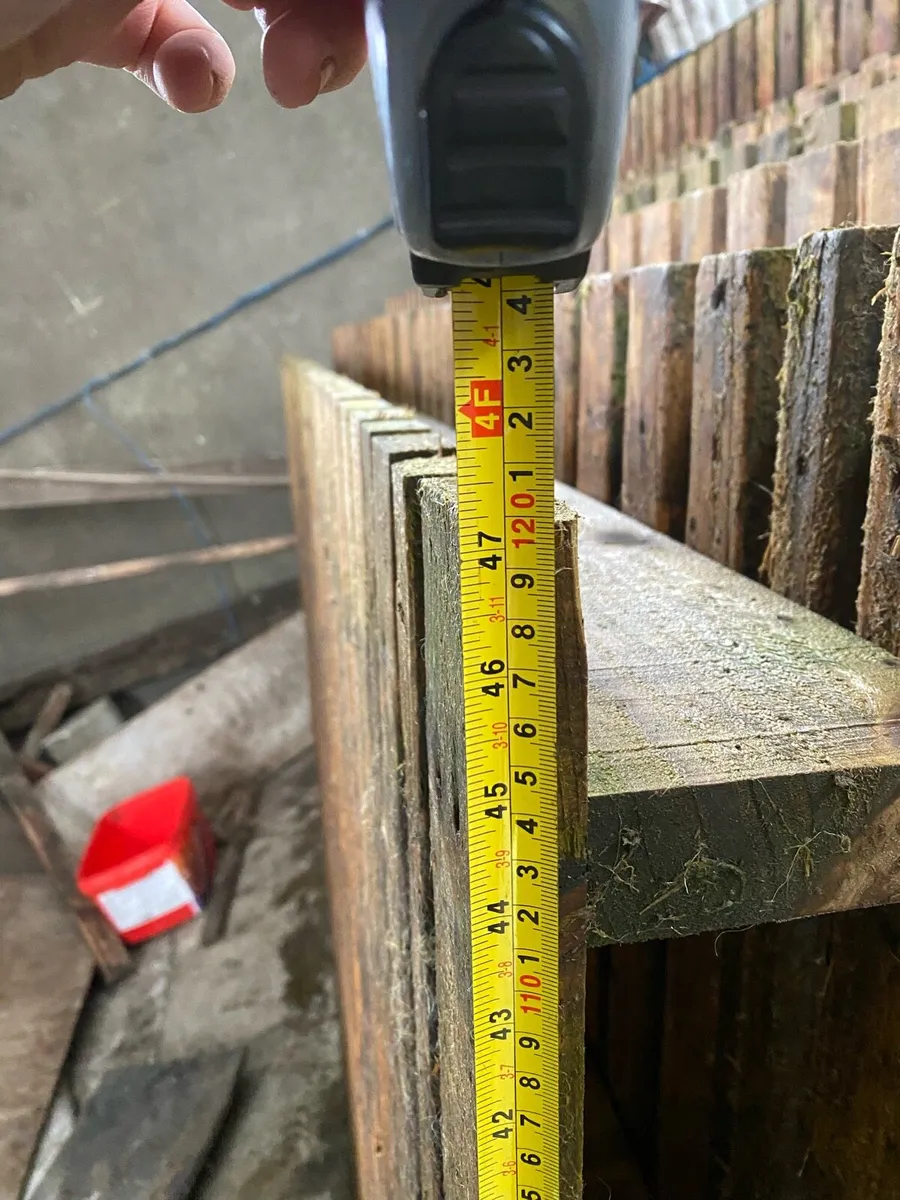 Sheep slats - Image 4