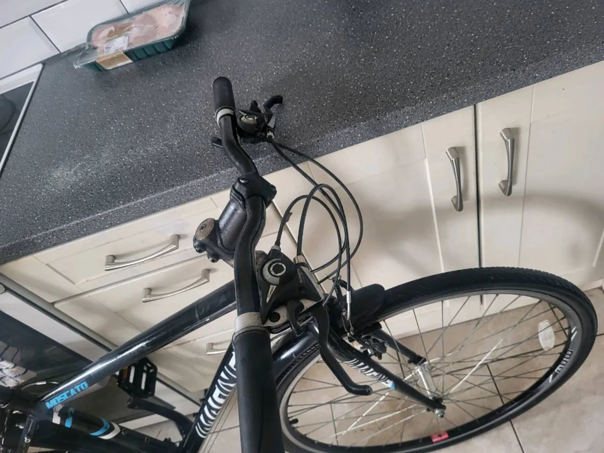 Adults bike - Image 2