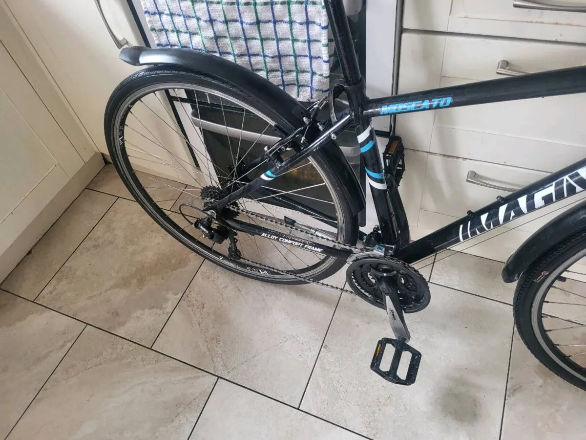 Adults bike - Image 3