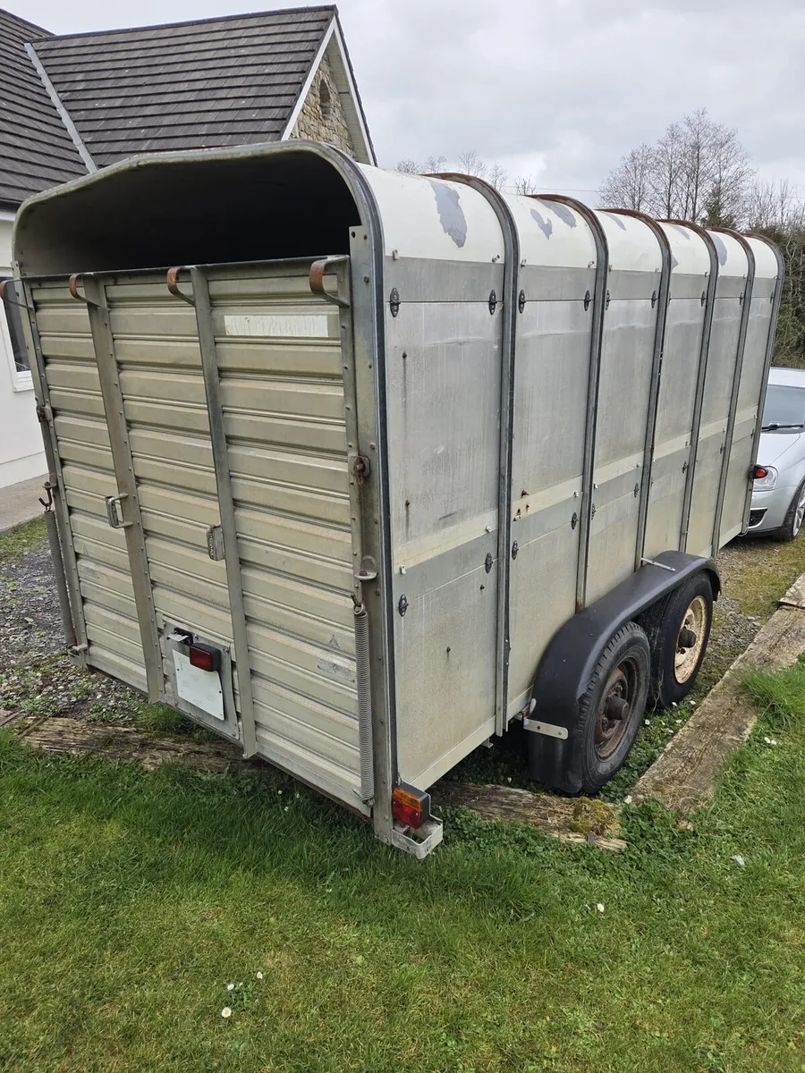 12x6 ifor williams - Image 3