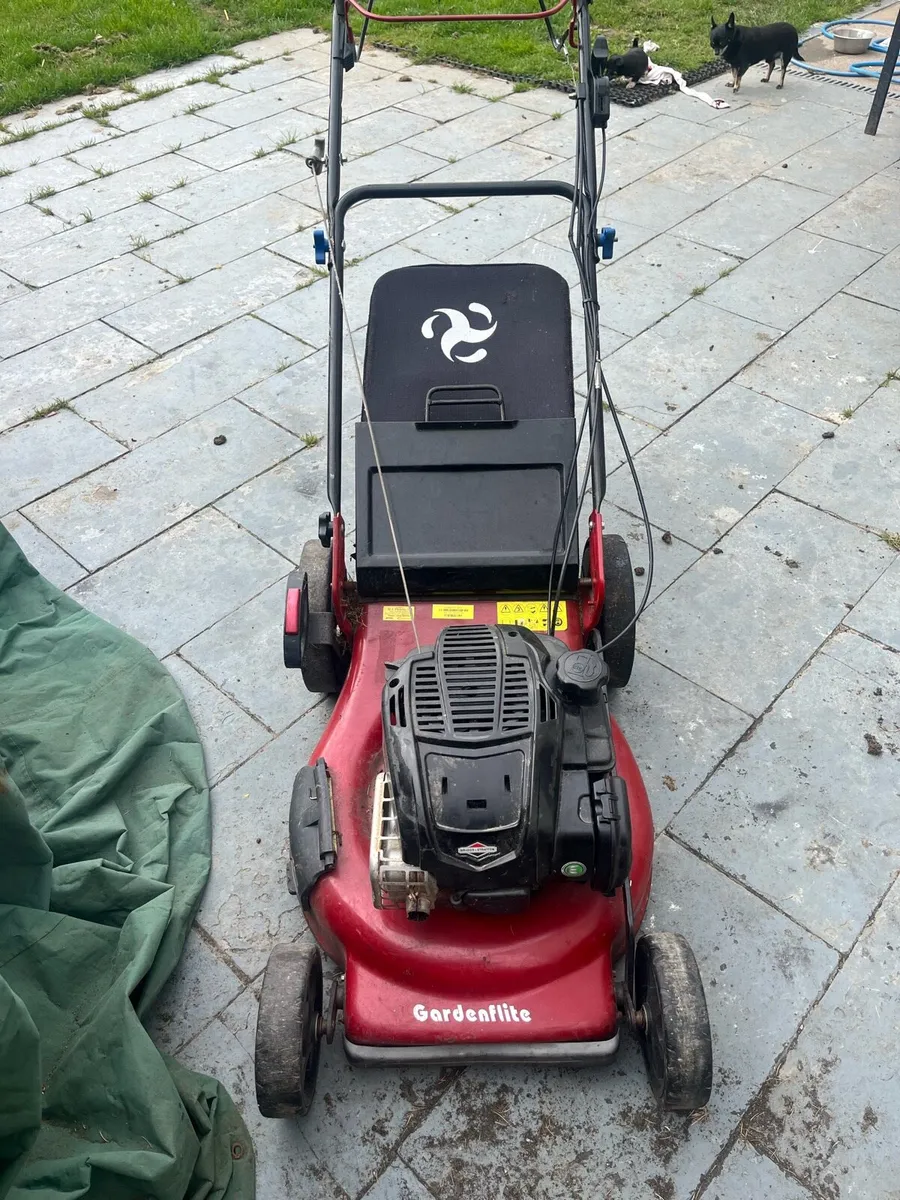 Lawnmower - Image 1