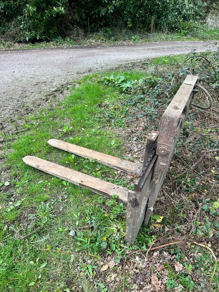 Pallet forks - Image 3