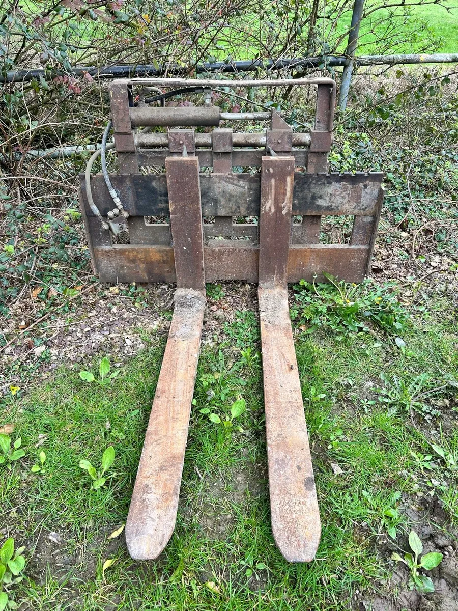 Pallet forks - Image 1