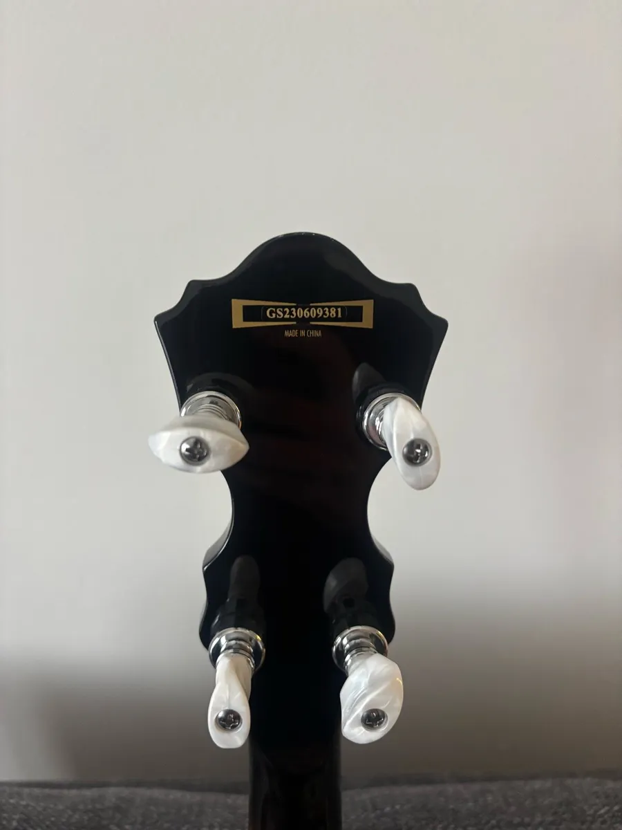 Ibanez 5 String Banjo - Image 3
