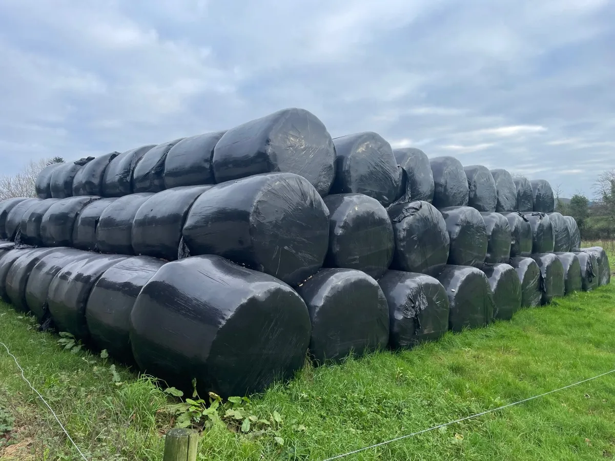 Silage for sale - Image 1