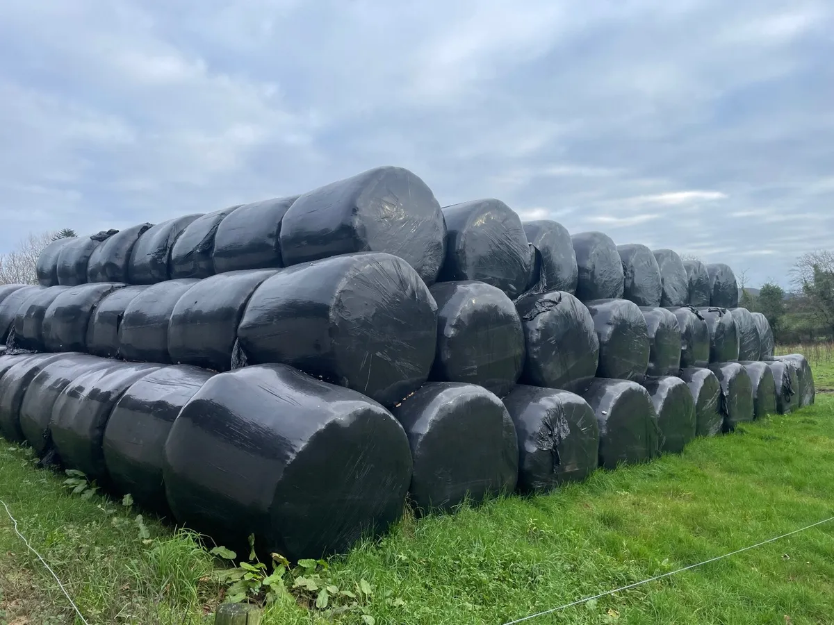 Silage for sale - Image 2