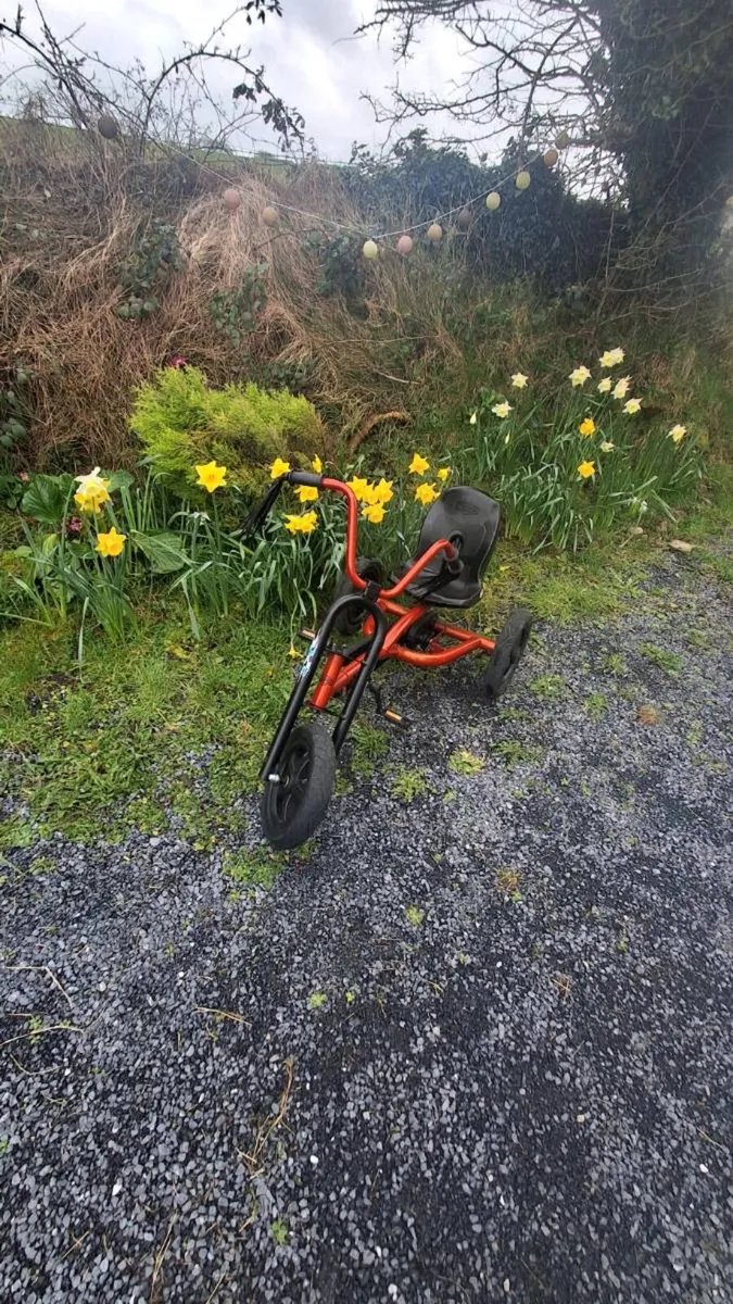 Berg chopper go kart - Image 2