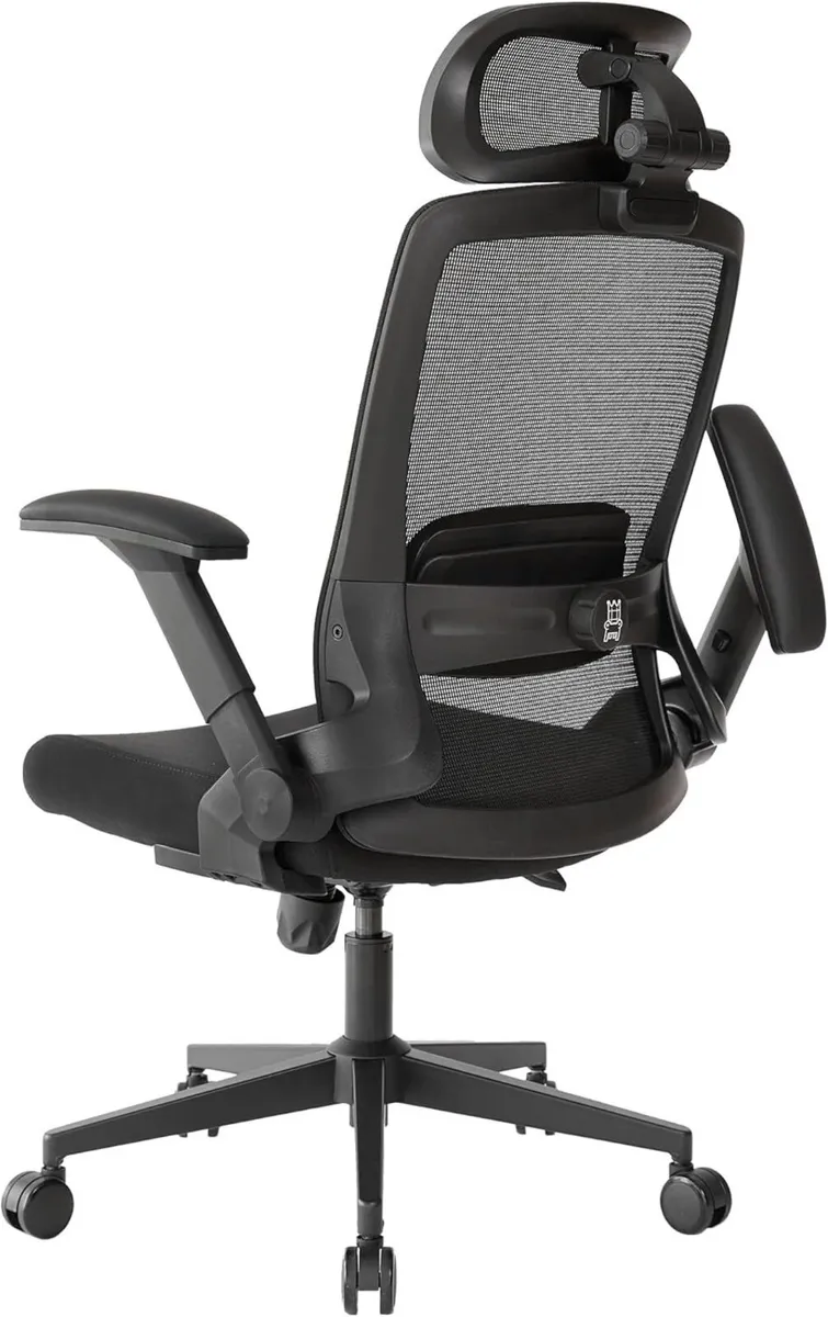 VALOUR Ergonomic Office Chair for Home Gaming - Image 1
