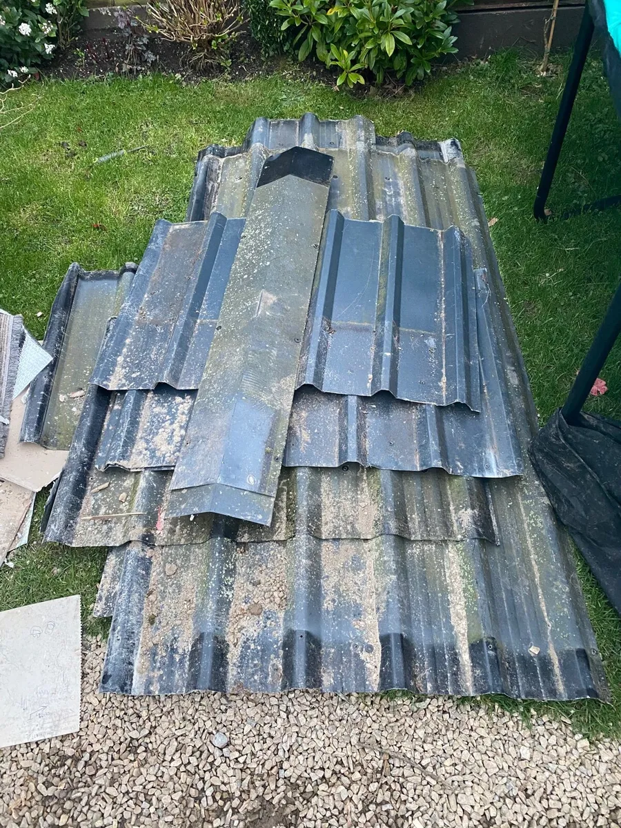Shed roof metal - Image 1