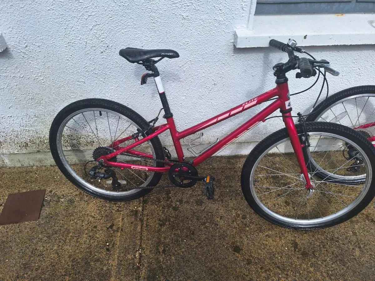 8 - 11 years Girls Bike 20 €230 each - Image 1