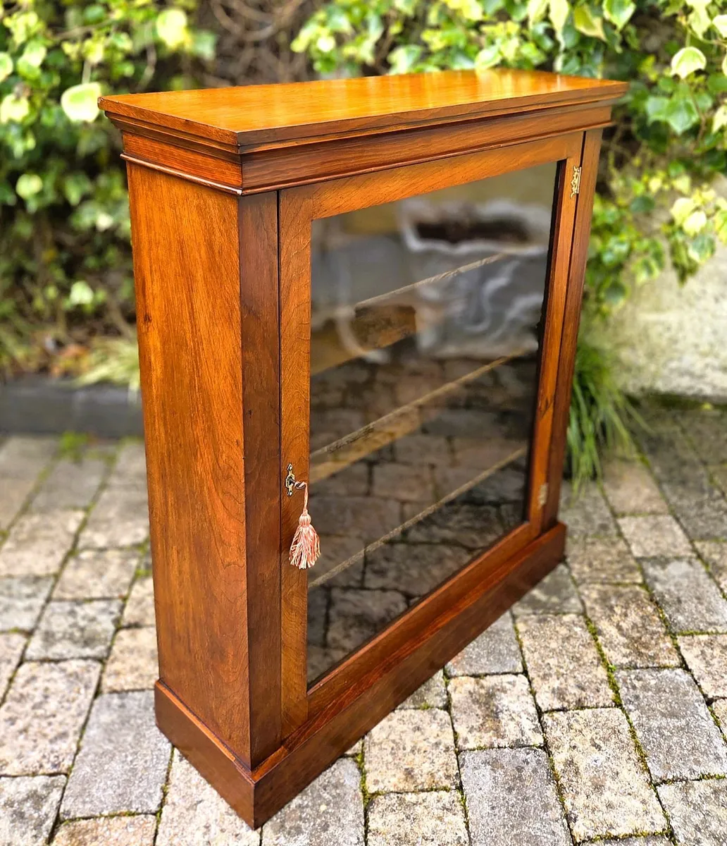 Victorian Library Cabinet- Circa 1860 - Image 4