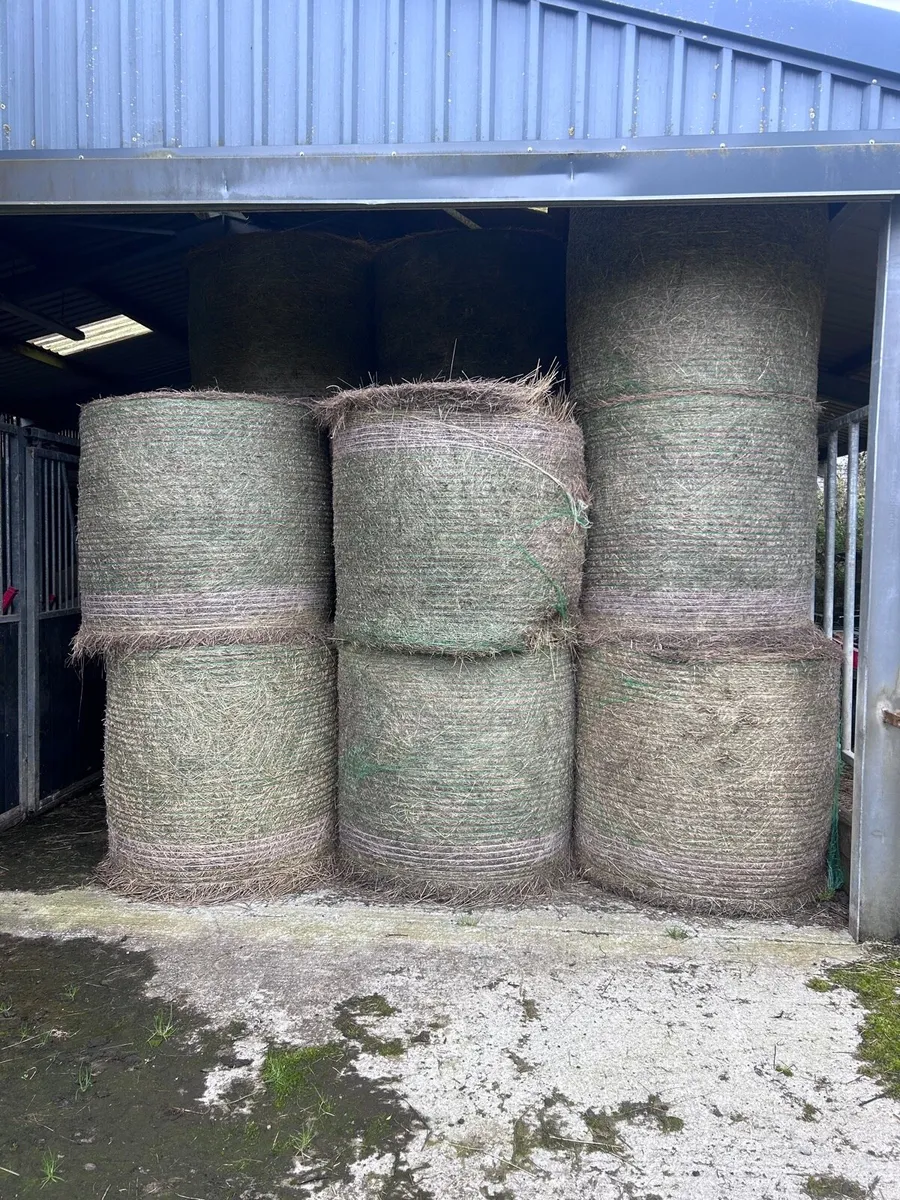 2025 Organic hay - Image 1