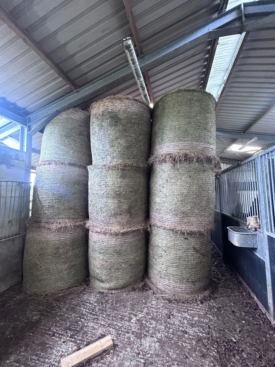 2025 Organic hay - Image 3