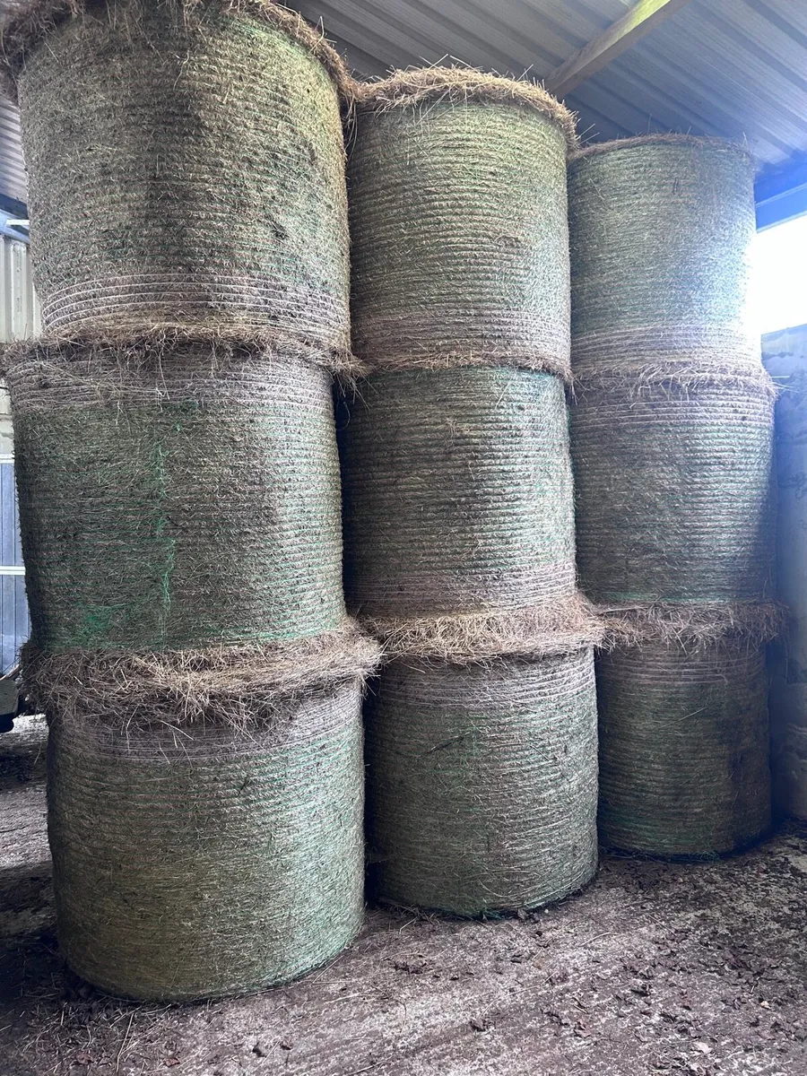 2025 Organic hay - Image 2