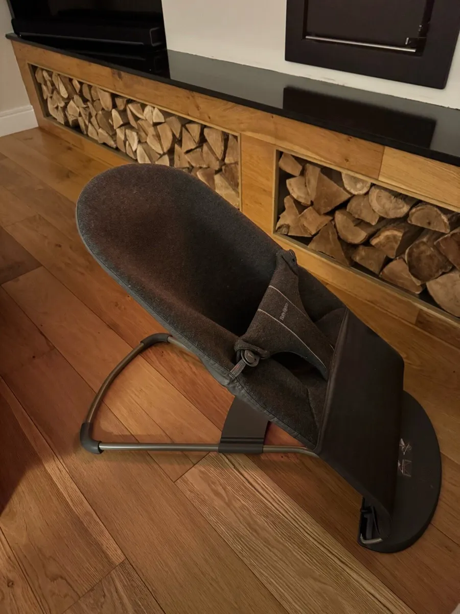 BabyBjorn Bouncer - Image 2