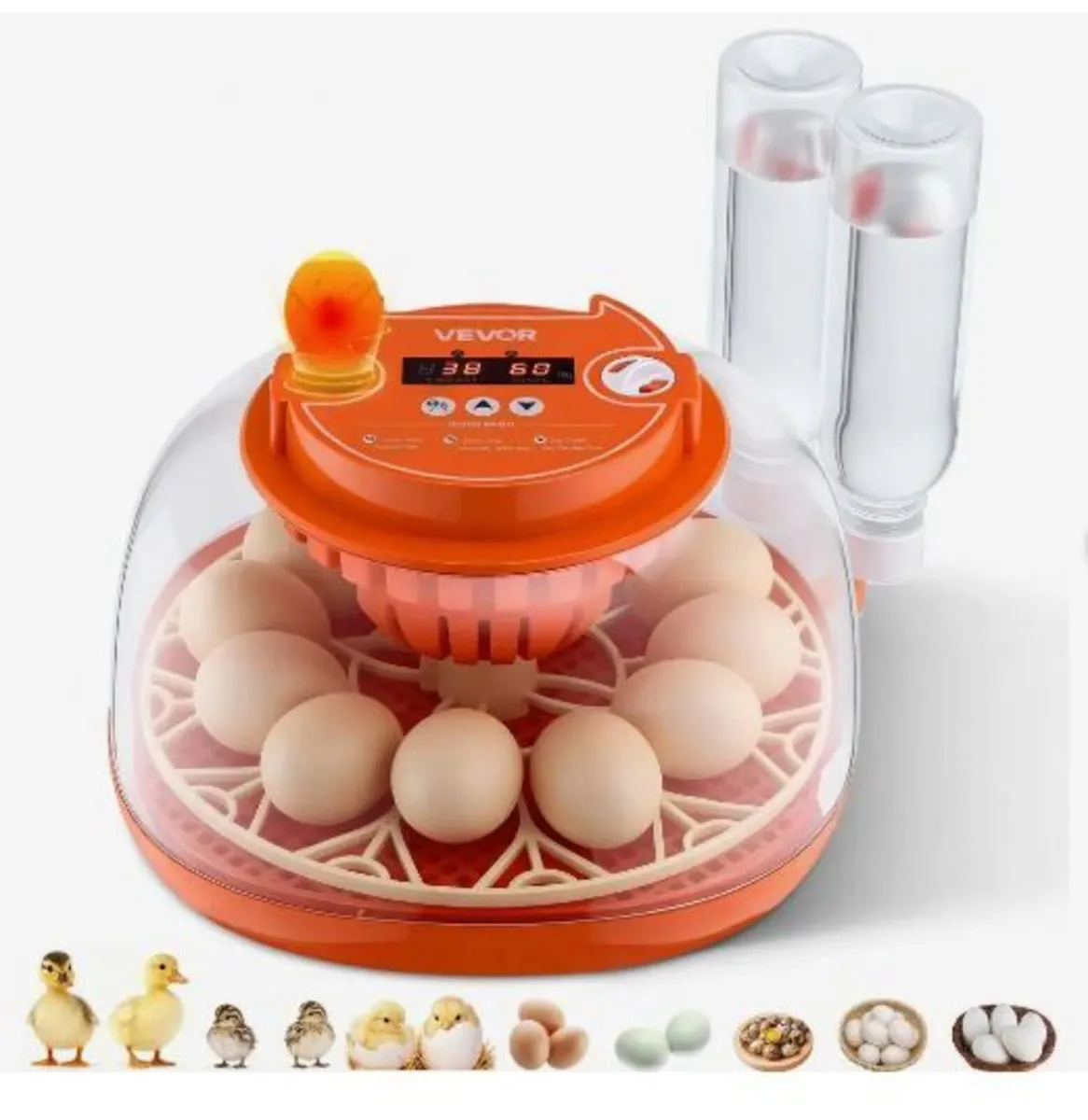 12 Egg Incubator, Automatic Egg Turner - Image 1