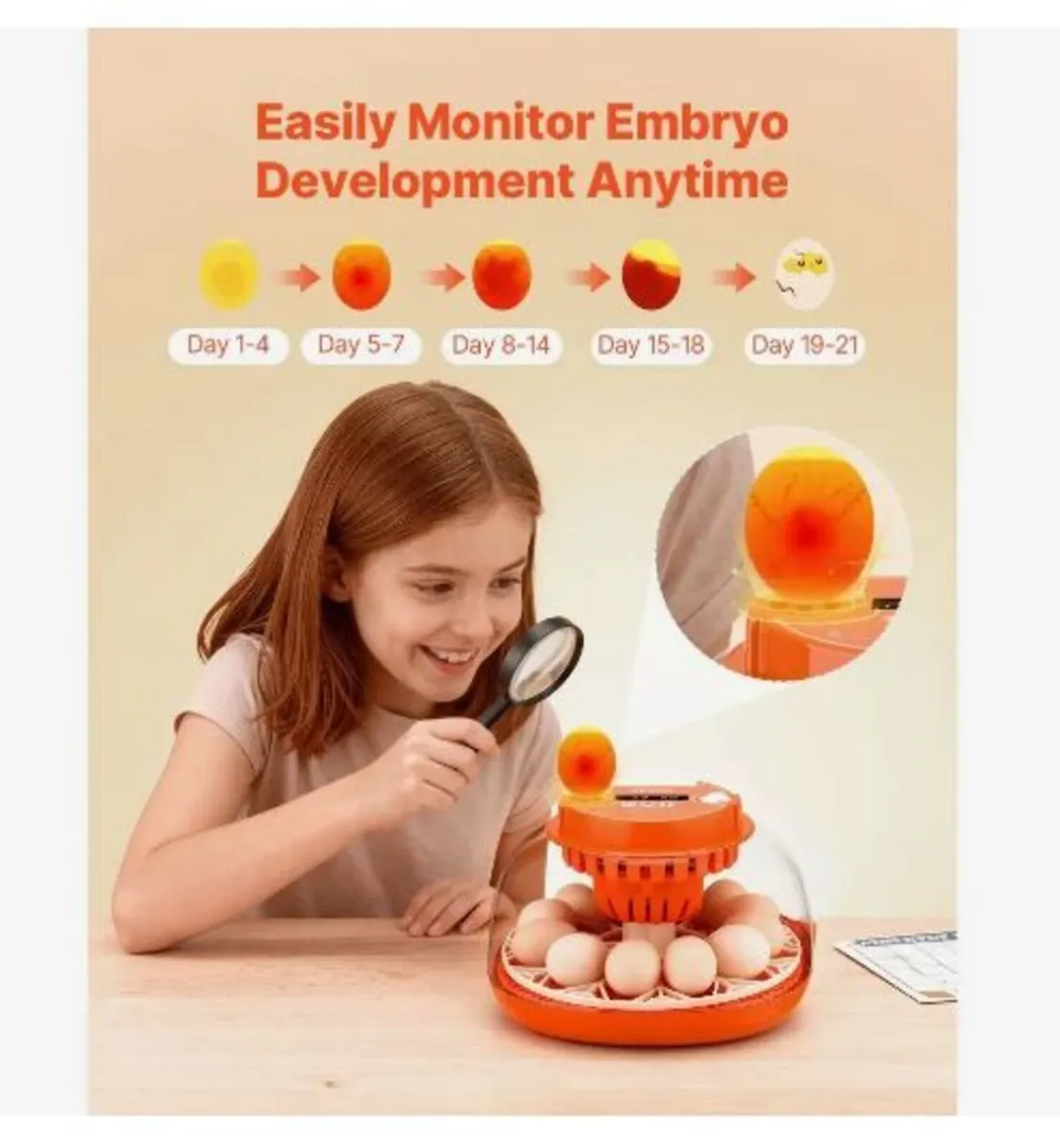 12 Egg Incubator, Automatic Egg Turner - Image 2