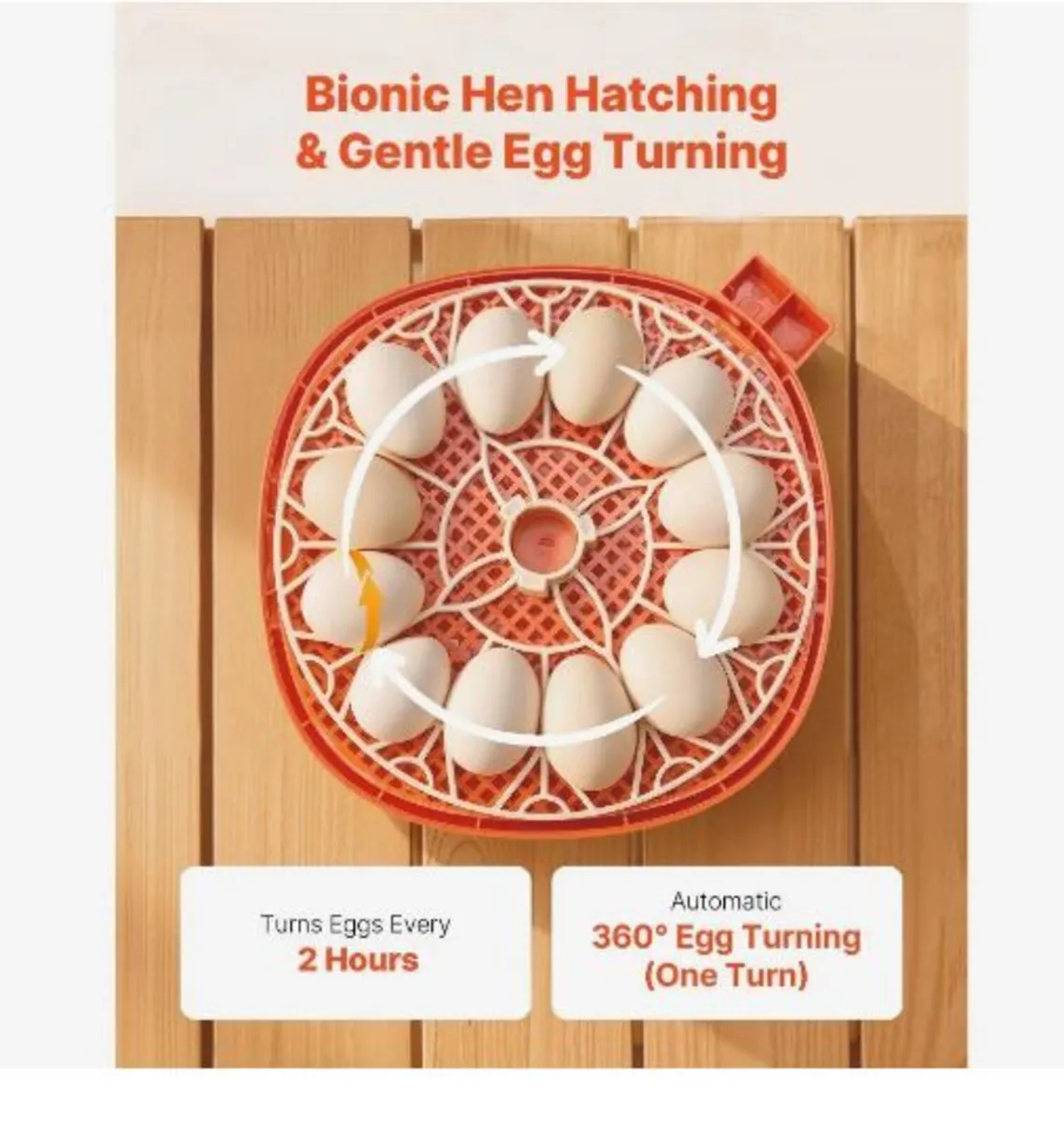 12 Egg Incubator, Automatic Egg Turner - Image 4