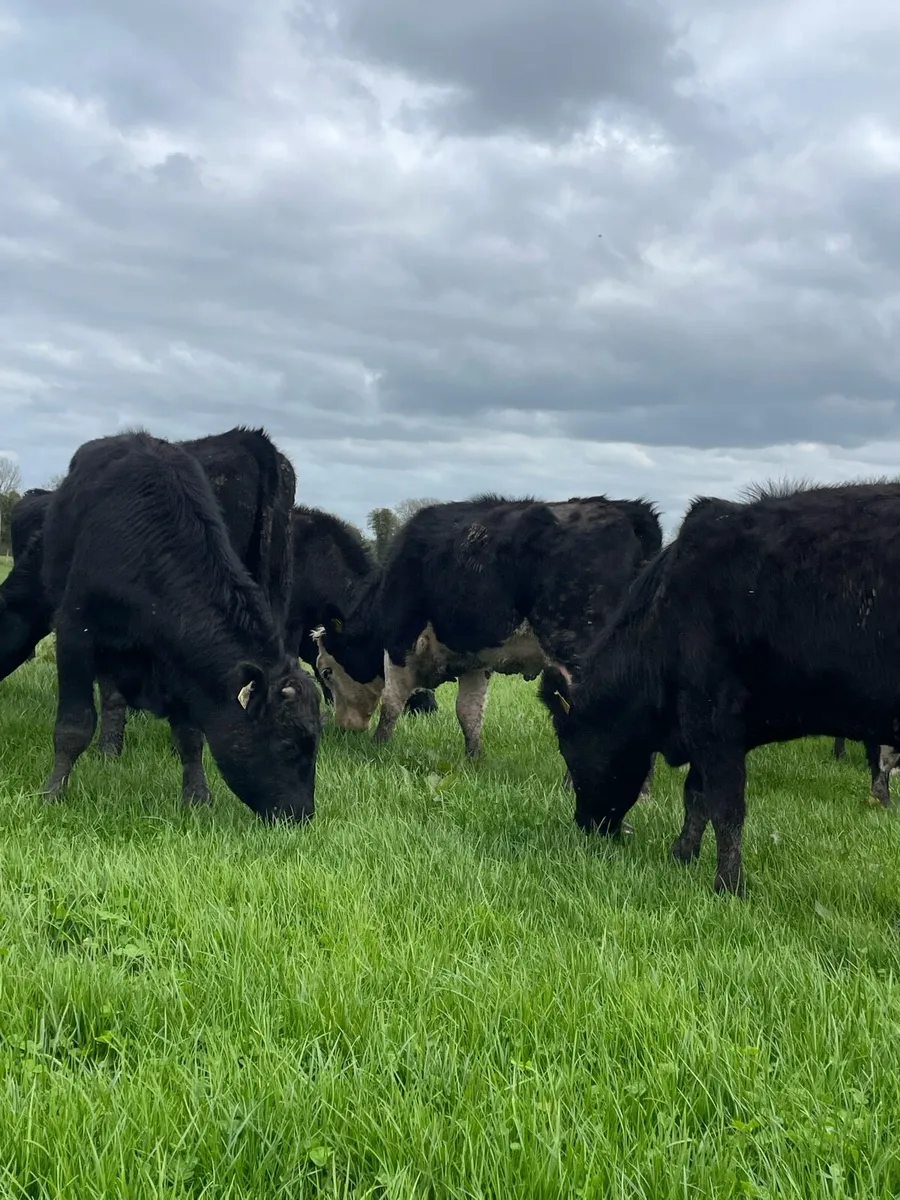 70 Outlier - Image 1