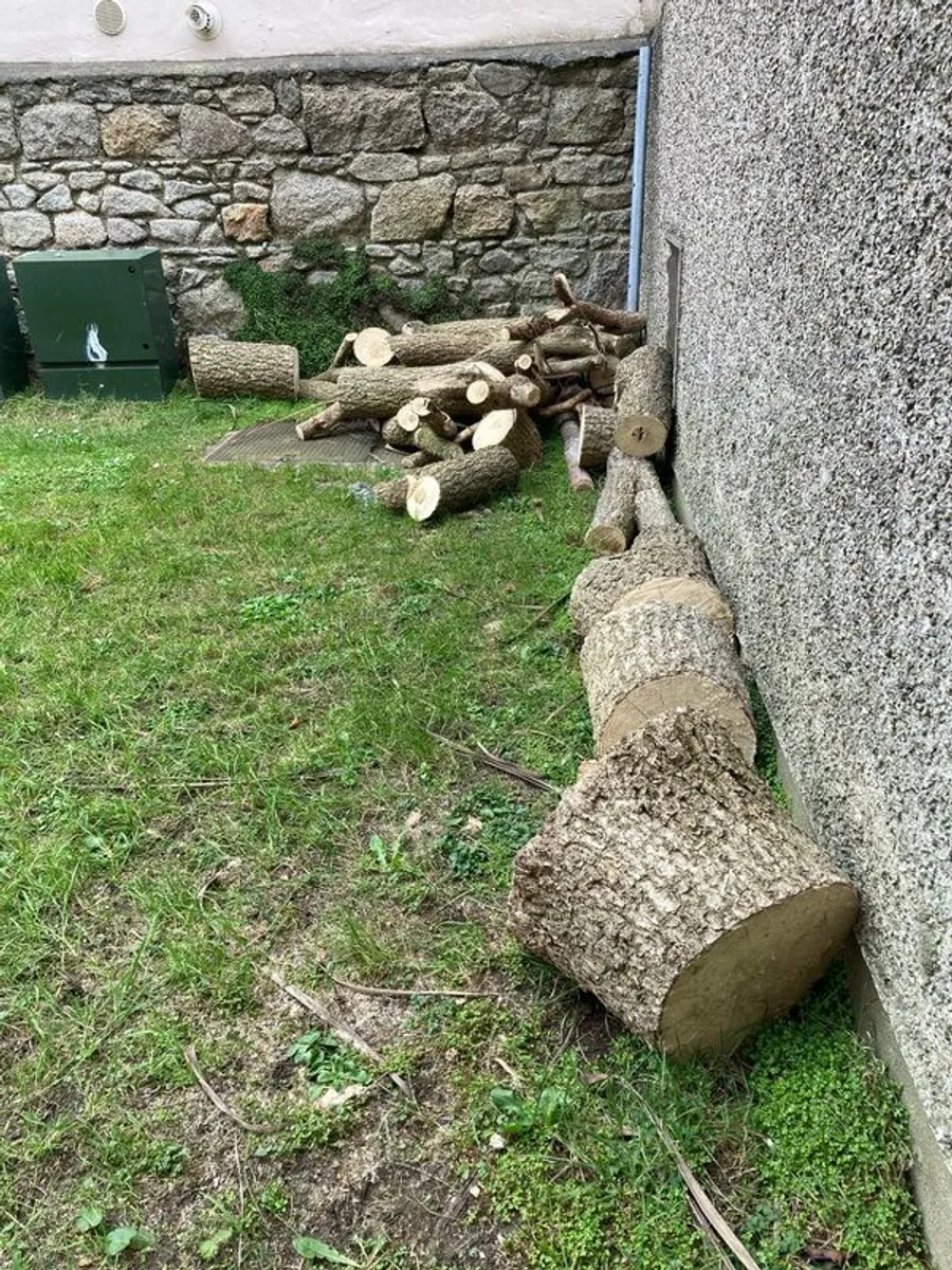 free firewood - Image 1