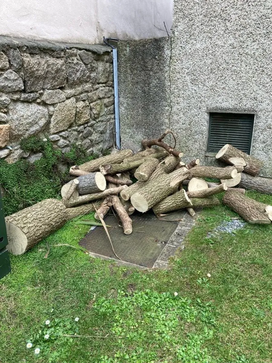 free firewood - Image 2
