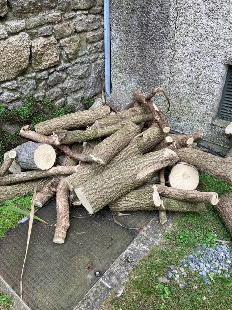 free firewood - Image 3