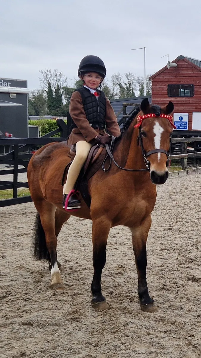 Flashy allrounder - Image 1