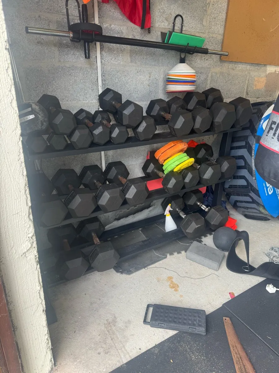 Fully equipped home gym - Image 2