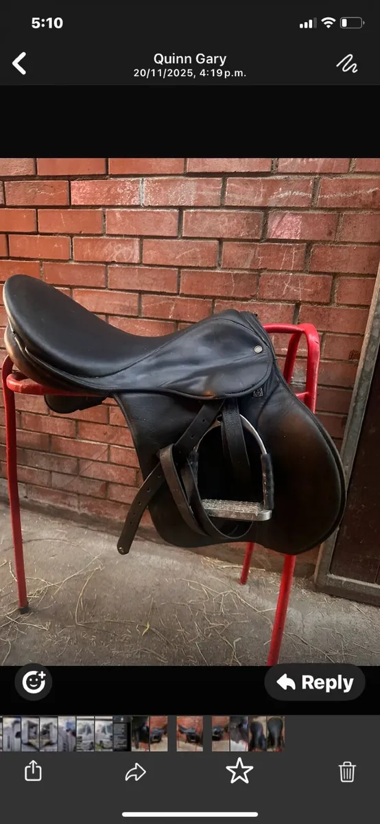 Stuben Horse saddle - Image 2