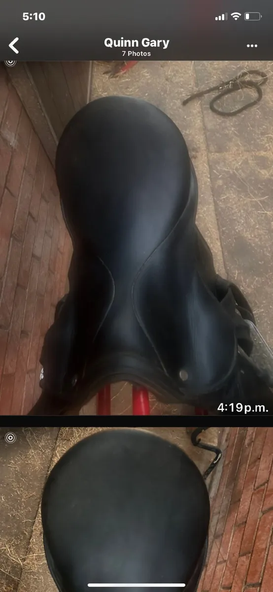 Stuben Horse saddle - Image 4