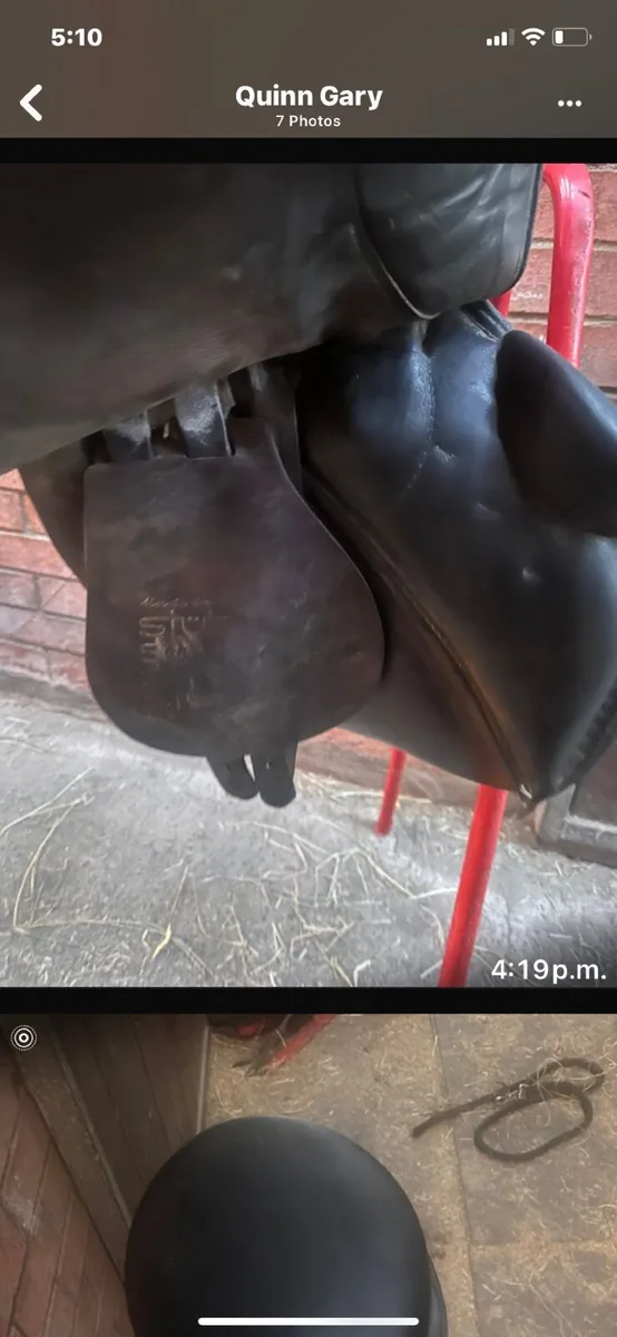 Stuben Horse saddle - Image 3