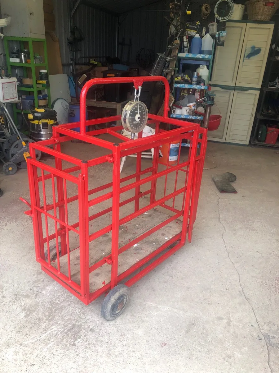 Weighing scales for lambs. - Image 1