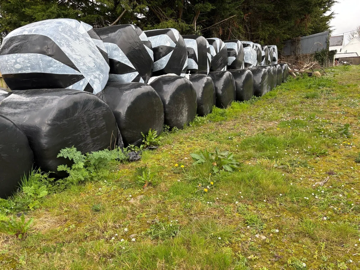 Silage bales