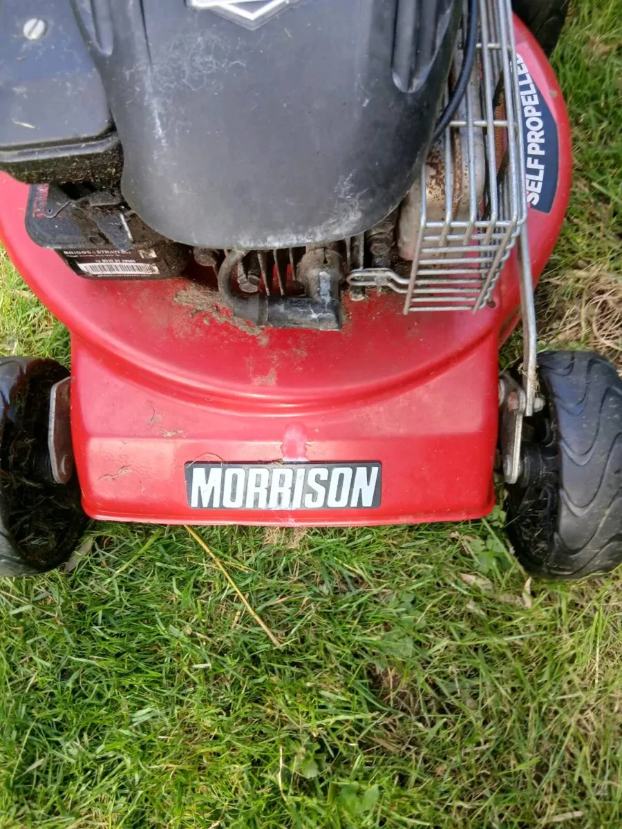 Mower - Image 2