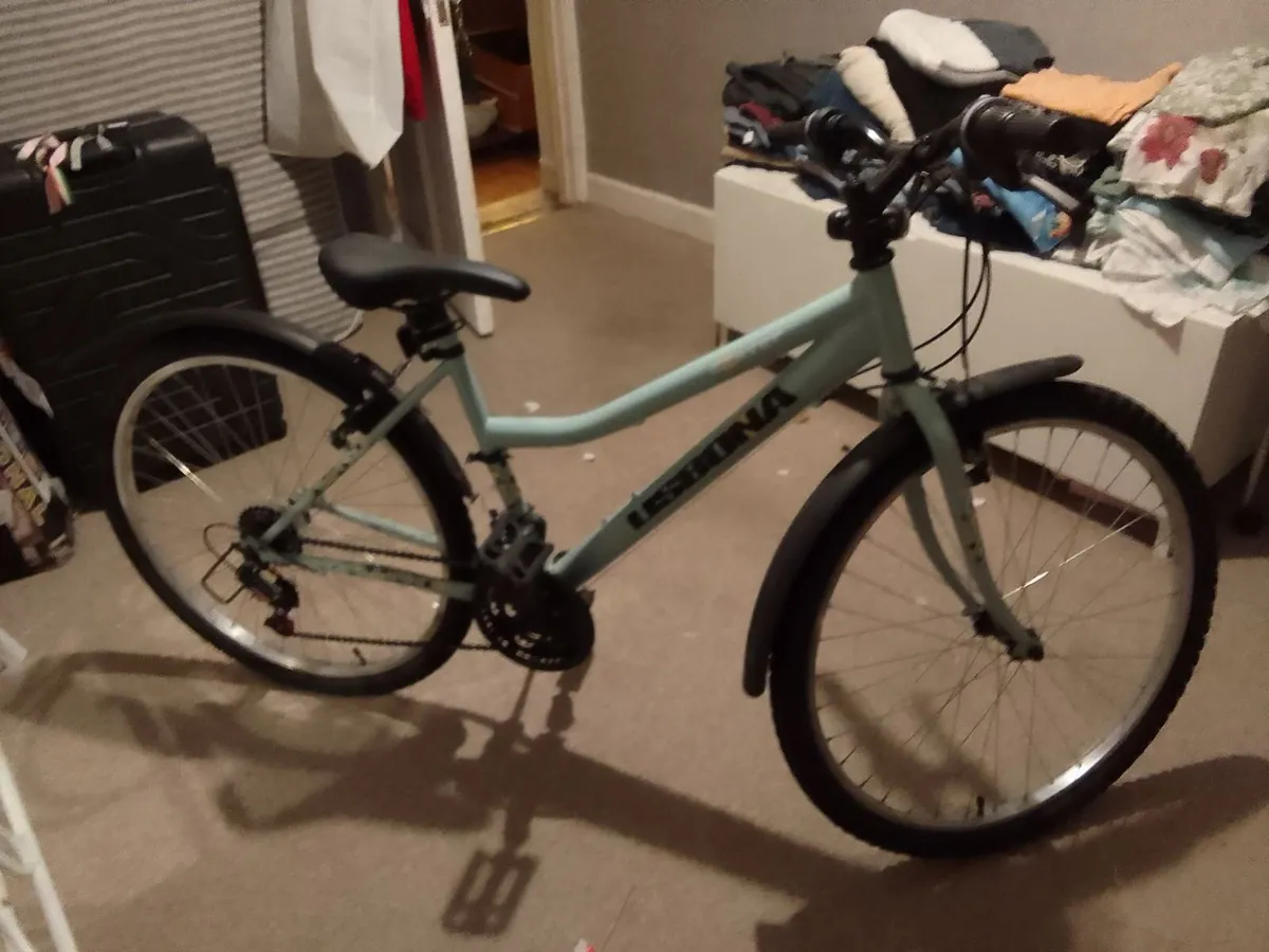 I sealing ladies bicycle - Image 1