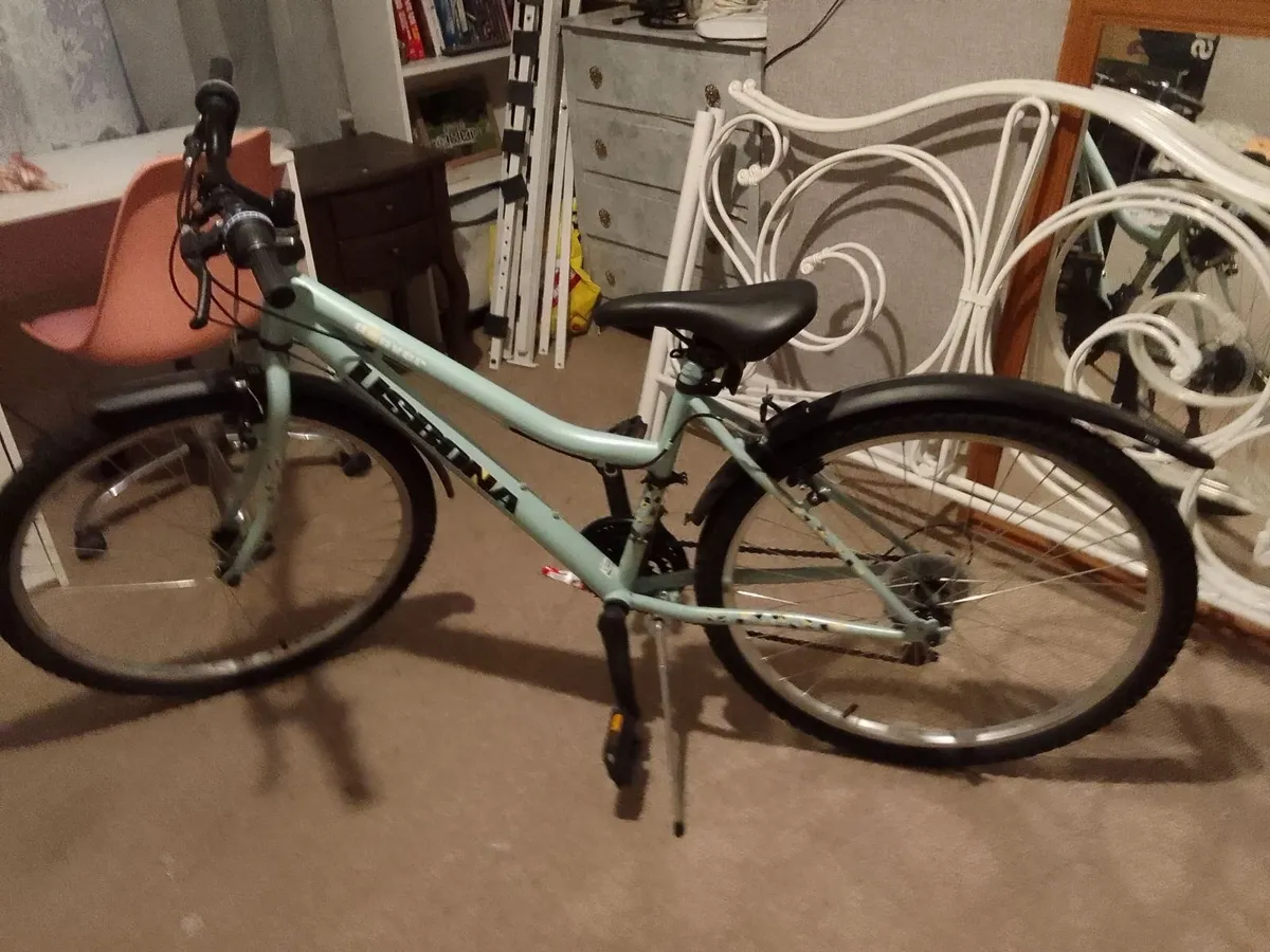 I sealing ladies bicycle - Image 2