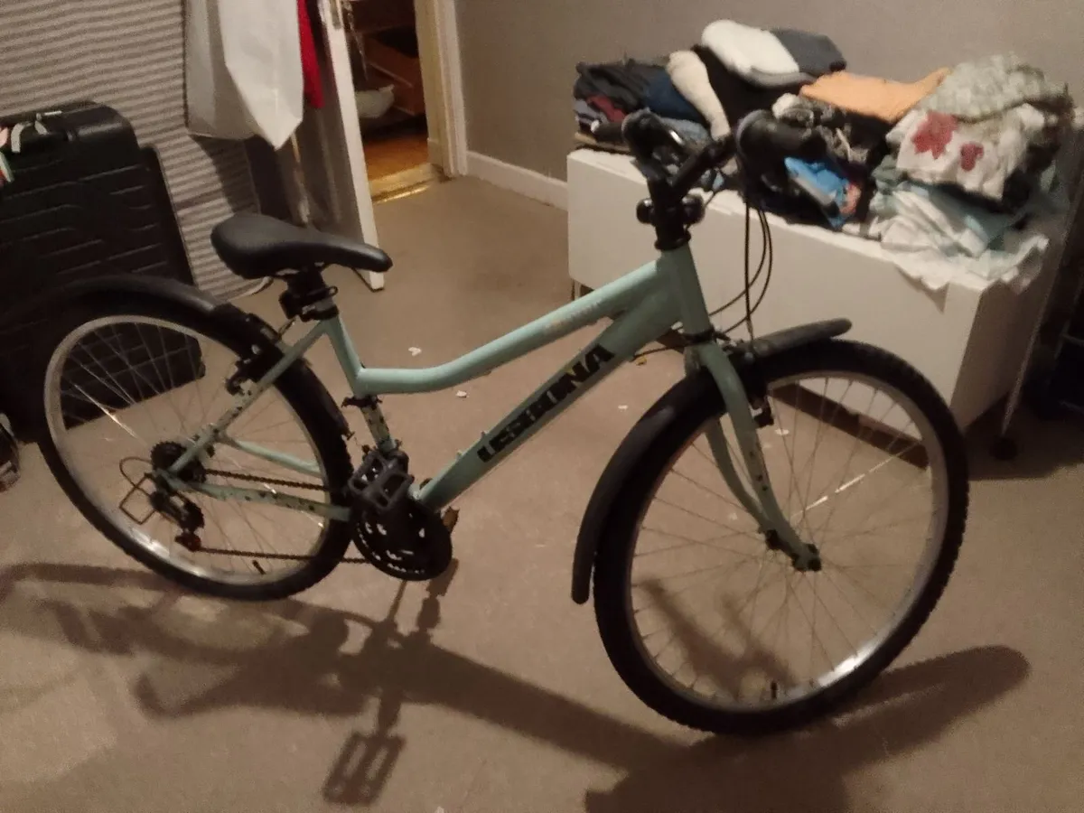 I sealing ladies bicycle - Image 3