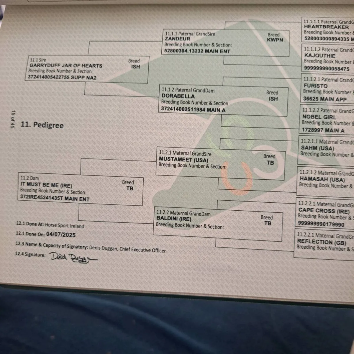 2 year old - Image 4