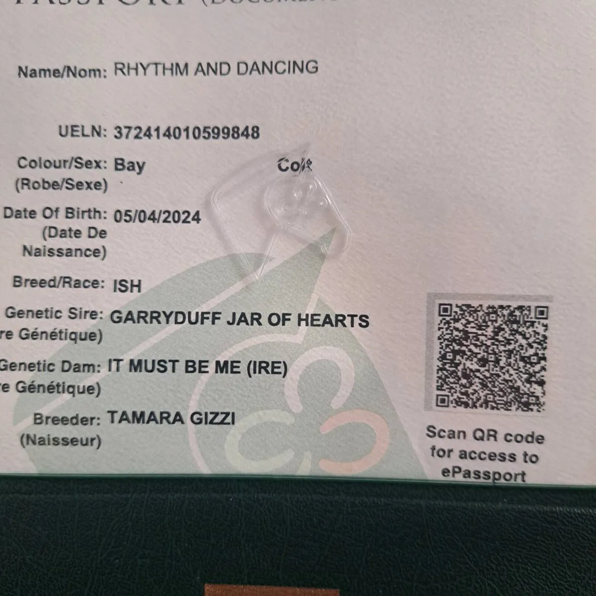 2 year old - Image 3