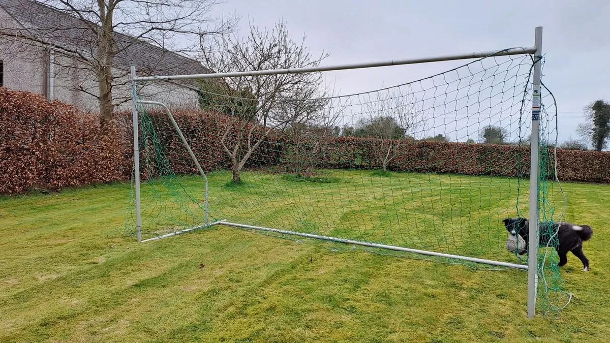 Single Goal for sale - Image 1