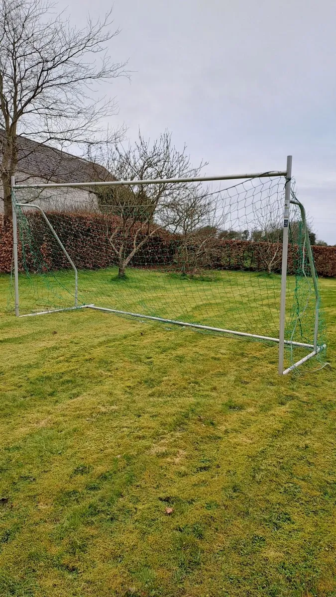 Single Goal for sale - Image 4