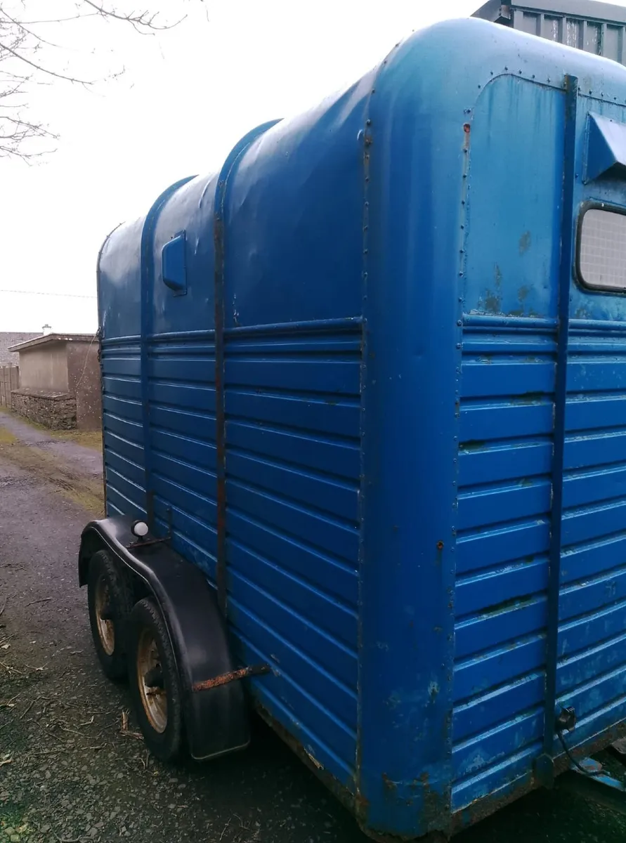 rice horsebox - Image 2