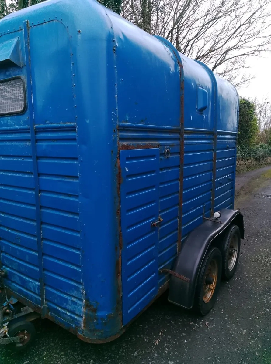 rice horsebox - Image 3