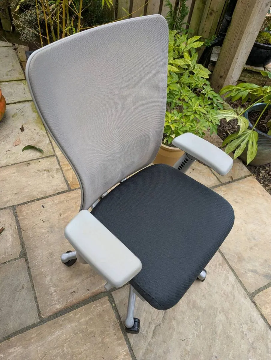 Ergonomic office chair - Image 1