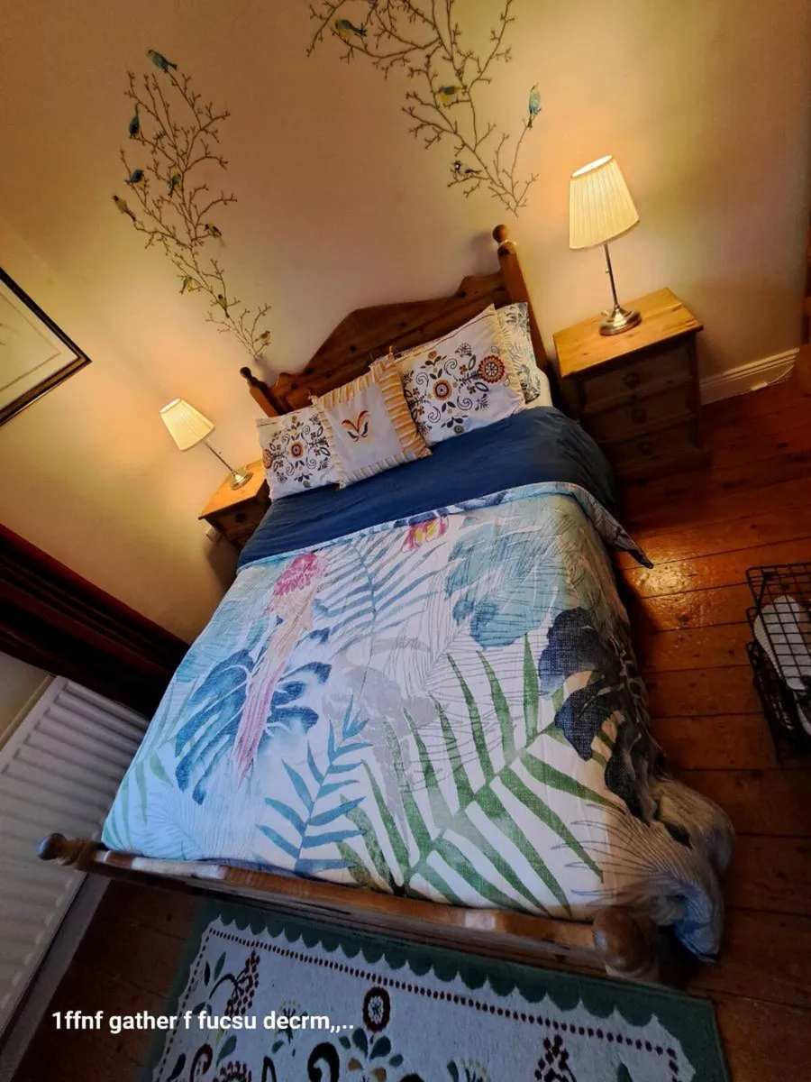 Solid Wooden Std Double Bed & Mattress - Image 2