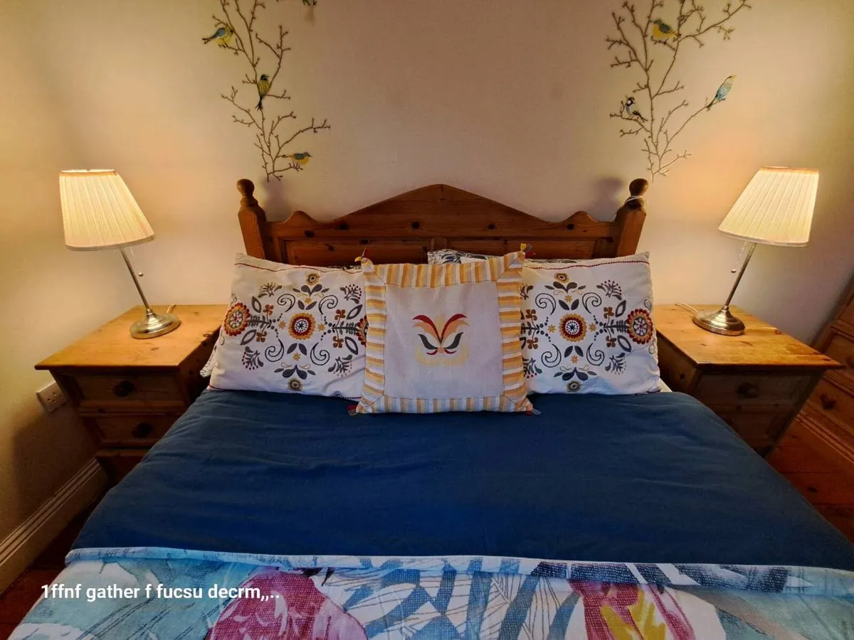 Solid Wooden Std Double Bed & Mattress - Image 3